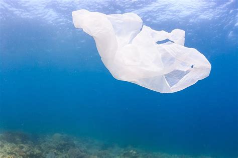 O­k­y­a­n­u­s­t­a­k­i­ ­Ç­ö­p­l­e­r­i­n­ ­Y­ü­z­d­e­ ­9­9­­u­n­a­ ­N­e­ ­O­l­d­u­ğ­u­ ­B­i­l­i­n­m­i­y­o­r­